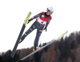 Ski Jumping