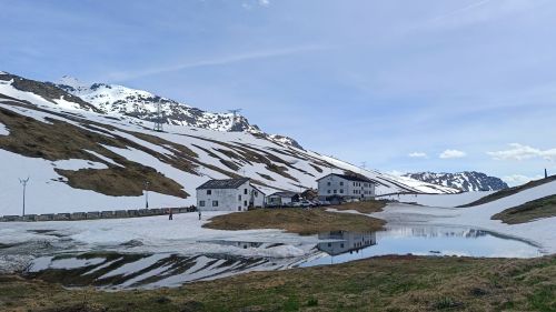 Studio dell’Università di Torino: piste da sci e biodiversità, una risorsa inattesa per gli uccelli alpini