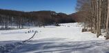 Apennines