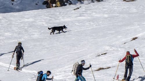 Skimo Festival. Il primo festival italiano dedicato allo Sci alpinismo sbarca a Bormio e a Santa Caterina
