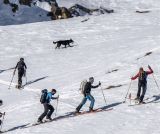 Skimo Festival, il primo evento di questo tipo dedicato allo Sci alpinismo, sbarca a Bormio e Santa Caterina