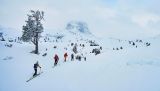 Fischer Transalp
